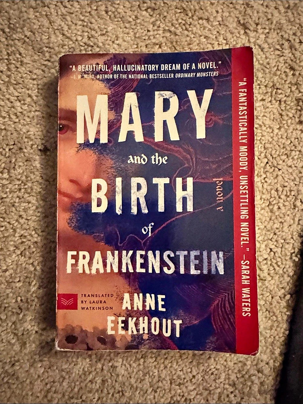 HarperVia Mary and the Birth of Frankenstein Paperback Book